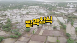 YTN_식량안보란 무엇일까